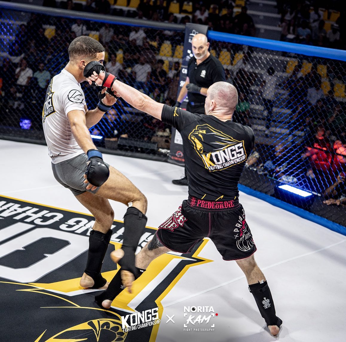 Combat au Kongs Fighting Championship